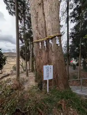 阿久津「田村神社」（郡山市阿久津町）旧社名：伊豆箱根三嶋三社(福島県)