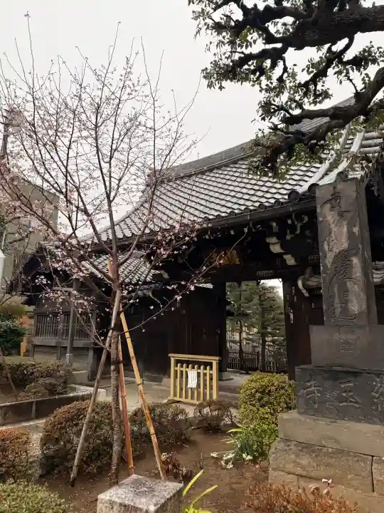 本行寺の{uncategorized: "未分類", other: "その他", undefined: "問題あり", building: "その他建物", grave: "お墓", sacred_gate: "鳥居", guardian: "狛犬", statue: "像", buddha: "仏像", history: "歴史", nature: "自然", garden: "庭園", animal: "動物", pagoda: "塔", temizu: "手水舎", mountain_gate: "山門・神門", sanctuary: "本殿・本堂", subordinate: "末社・摂社", art: "芸術", scenery: "景色", jizo: "地蔵", ema: "絵馬", goshuin: "御朱印", omikuji: "おみくじ", items: "授与品その他", amulet: "お守り", goshuincho: "御朱印帳", eats: "食事", festival: "お祭り", votive_dance: "神楽", shichigosan: "七五三参", wedding: "結婚式", experience: "体験その他", initially: "初詣", around: "周辺", anti_infection: "感染症対策"}
