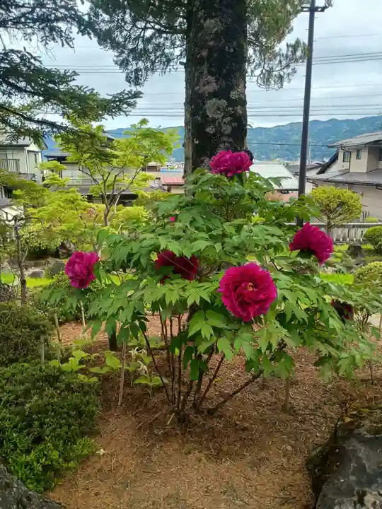諏訪大社(長野県)