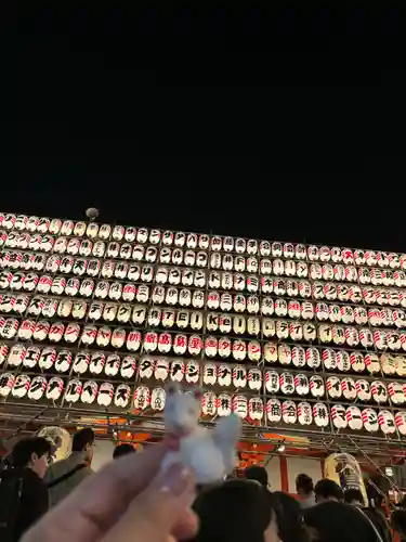 花園神社のおみくじ