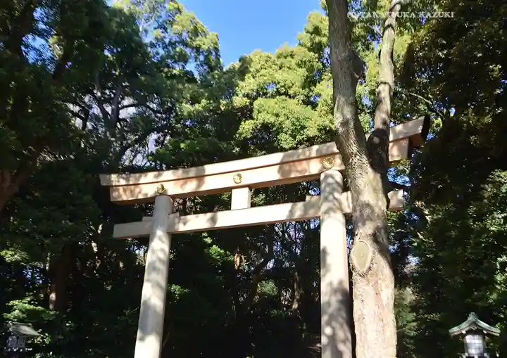 明治神宮(東京都)