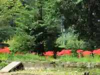 賀羅加波神社(広島県)
