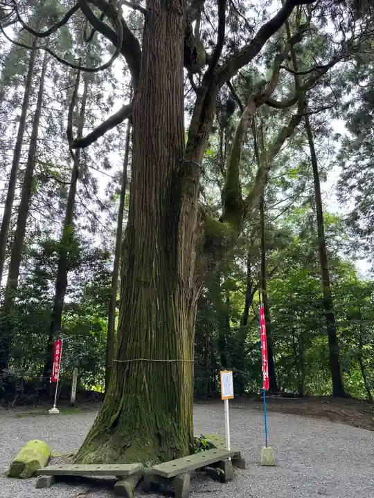 東霧島神社(宮崎県)