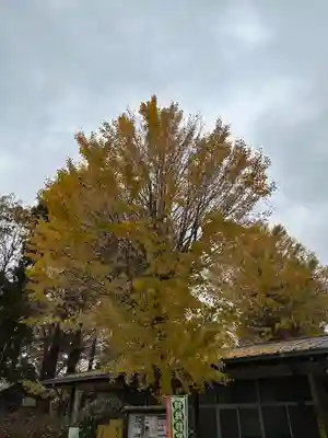 小野神社(東京都)
