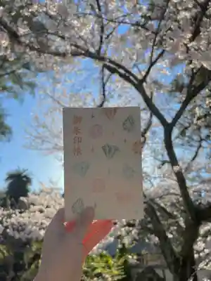 初めての御朱印帳📕✨