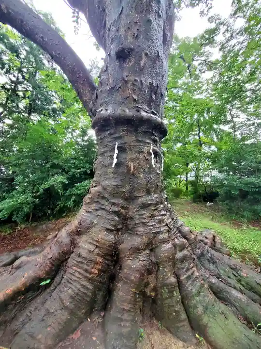 愛宕神社(福島県)