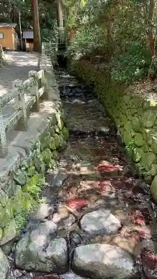 枚岡神社(大阪府)