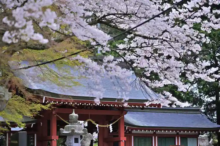冨士御室浅間神社(山梨県)