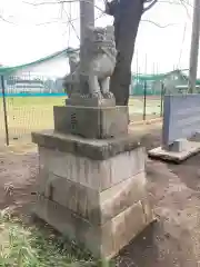 阿波州神社の狛犬