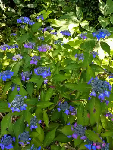 虻田神社の自然
