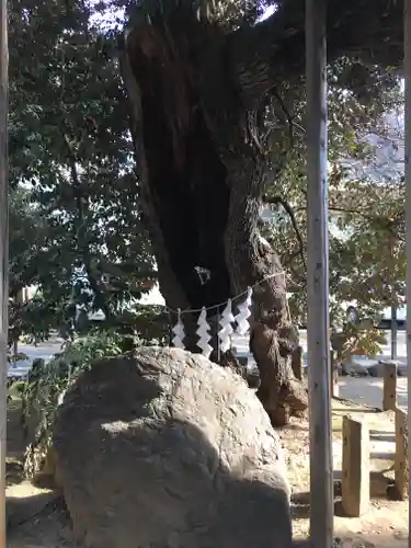 金王八幡宮の自然