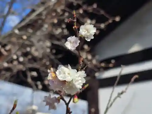 元興寺(奈良県)