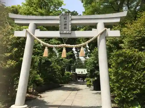 星川杉山神社の鳥居