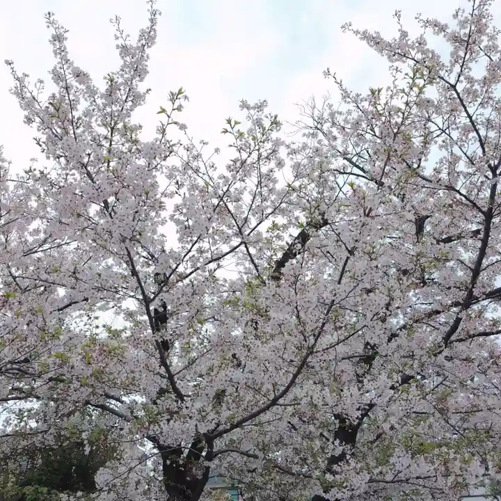 諏訪神社(東京都)