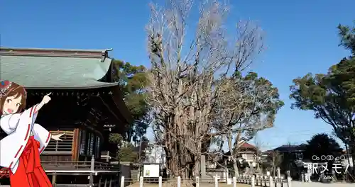 葛飾八幡宮のその他建物