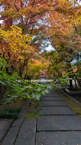 興聖寺(京都府)
