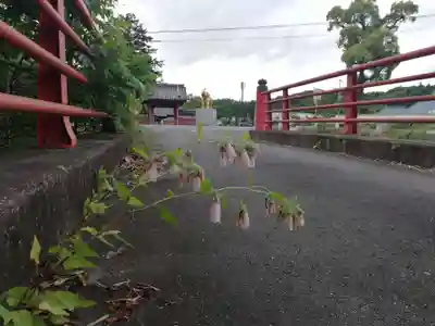 長福寿寺の自然