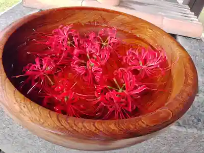 横浜 西方寺の手水舎