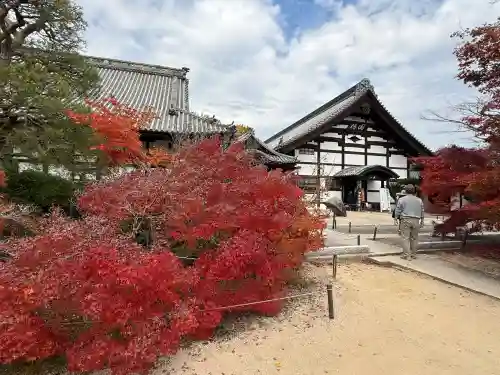 井山 宝福寺(岡山県)