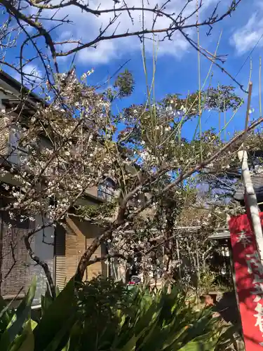 教善寺(神奈川県)