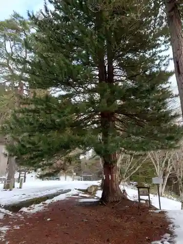 土津神社｜こどもと出世の神さま(福島県)