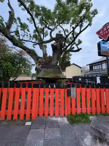 藤木社（賀茂別雷神社末社）の{uncategorized: "未分類", other: "その他", undefined: "問題あり", building: "その他建物", grave: "お墓", sacred_gate: "鳥居", guardian: "狛犬", statue: "像", buddha: "仏像", history: "歴史", nature: "自然", garden: "庭園", animal: "動物", pagoda: "塔", temizu: "手水舎", mountain_gate: "山門・神門", sanctuary: "本殿・本堂", subordinate: "末社・摂社", art: "芸術", scenery: "景色", jizo: "地蔵", ema: "絵馬", goshuin: "御朱印", omikuji: "おみくじ", items: "授与品その他", amulet: "お守り", goshuincho: "御朱印帳", eats: "食事", festival: "お祭り", votive_dance: "神楽", shichigosan: "七五三参", wedding: "結婚式", experience: "体験その他", initially: "初詣", around: "周辺", anti_infection: "感染症対策"}