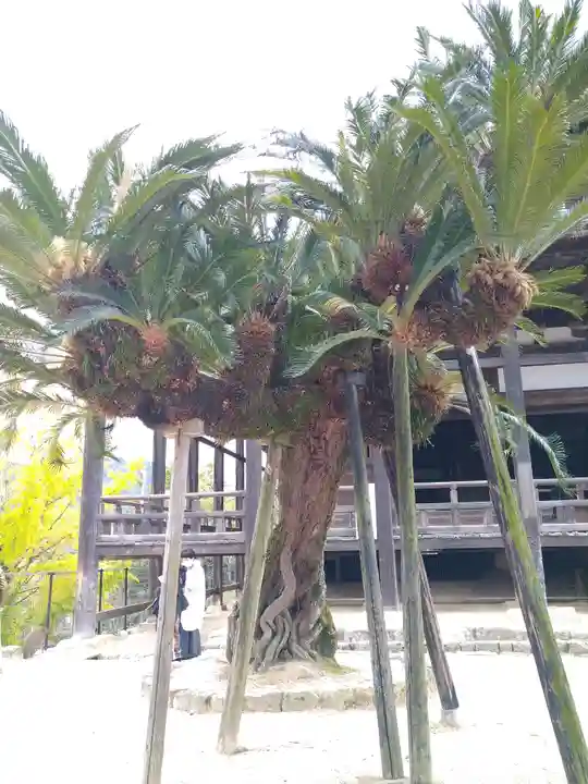 豊国神社 の自然