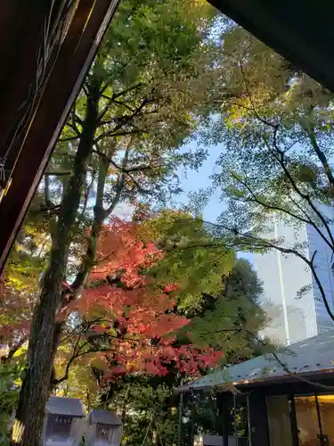 愛宕神社の自然