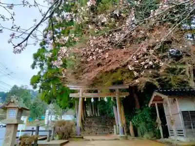 神魂神社(島根県)