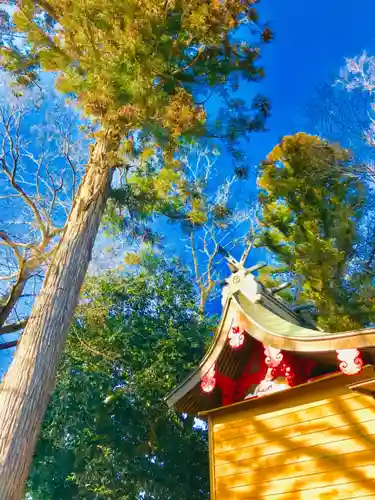 鹿島神社の本殿・本堂