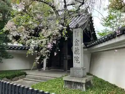 金藏院の{uncategorized: "未分類", other: "その他", undefined: "問題あり", building: "その他建物", grave: "お墓", sacred_gate: "鳥居", guardian: "狛犬", statue: "像", buddha: "仏像", history: "歴史", nature: "自然", garden: "庭園", animal: "動物", pagoda: "塔", temizu: "手水舎", mountain_gate: "山門・神門", sanctuary: "本殿・本堂", subordinate: "末社・摂社", art: "芸術", scenery: "景色", jizo: "地蔵", ema: "絵馬", goshuin: "御朱印", omikuji: "おみくじ", items: "授与品その他", amulet: "お守り", goshuincho: "御朱印帳", eats: "食事", festival: "お祭り", votive_dance: "神楽", shichigosan: "七五三参", wedding: "結婚式", experience: "体験その他", initially: "初詣", around: "周辺", anti_infection: "感染症対策"}