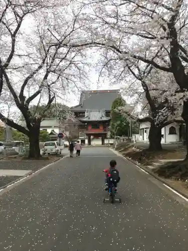 大應寺(埼玉県)