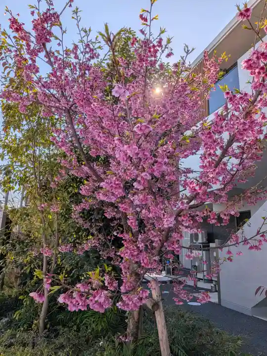 田中稲荷神社(東京都)