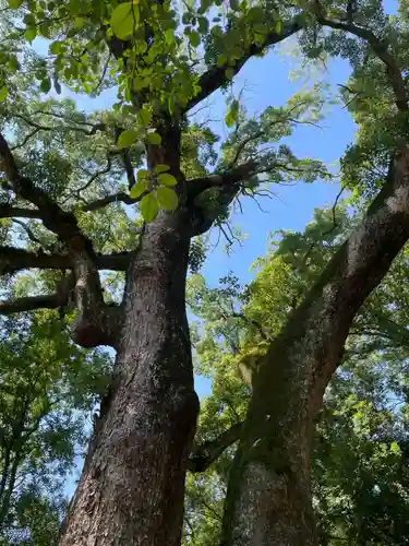 伊弉諾神宮(兵庫県)