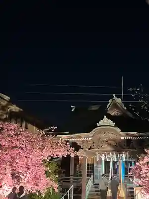 桜神宮(東京都)