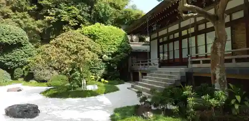 報国寺の庭園