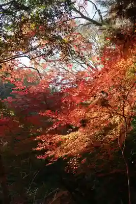 神應寺(京都府)