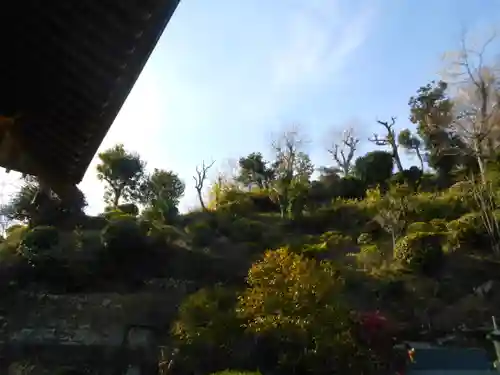 仏行寺（佛行寺）の庭園