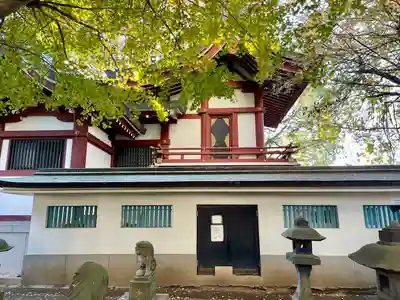 小金八坂神社(千葉県)