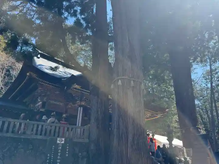 三峯神社の{uncategorized: "未分類", other: "その他", undefined: "問題あり", building: "その他建物", grave: "お墓", sacred_gate: "鳥居", guardian: "狛犬", statue: "像", buddha: "仏像", history: "歴史", nature: "自然", garden: "庭園", animal: "動物", pagoda: "塔", temizu: "手水舎", mountain_gate: "山門・神門", sanctuary: "本殿・本堂", subordinate: "末社・摂社", art: "芸術", scenery: "景色", jizo: "地蔵", ema: "絵馬", goshuin: "御朱印", omikuji: "おみくじ", items: "授与品その他", amulet: "お守り", goshuincho: "御朱印帳", eats: "食事", festival: "お祭り", votive_dance: "神楽", shichigosan: "七五三参", wedding: "結婚式", experience: "体験その他", initially: "初詣", around: "周辺", anti_infection: "感染症対策"}