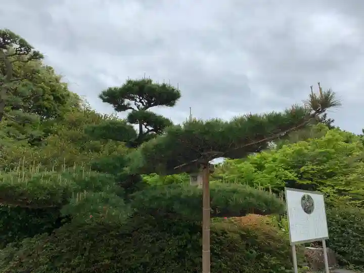 森・深江・青木 総氏神 稲荷神社の自然