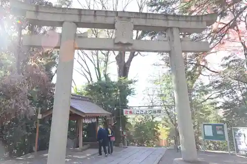 谷保天満宮の鳥居