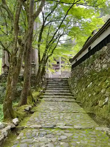 横蔵寺(岐阜県)