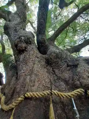 三島神社(大阪府)