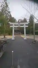 杵築神社の鳥居