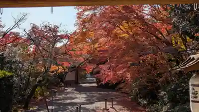常照寺(京都府)