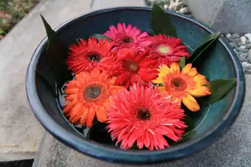 豊景神社の手水舎