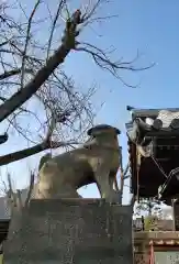 荘厳寺の狛犬