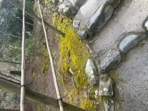 高山寺(京都府)