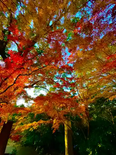 宝満宮竈門神社(福岡県)